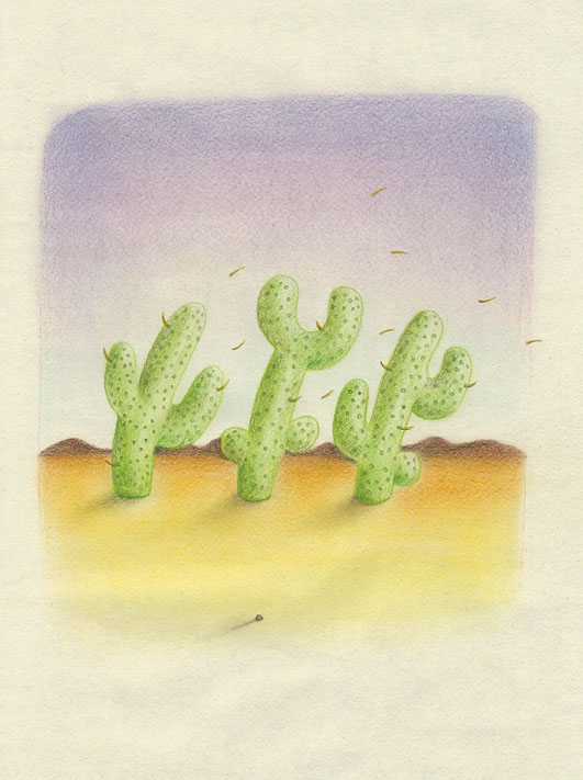 cacti in the winds 